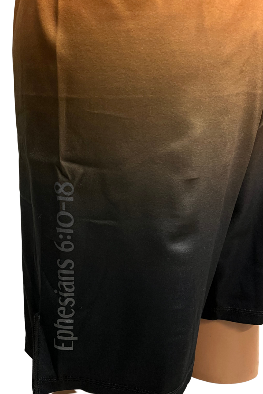 Armor of God Shorts