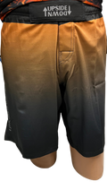 Armor of God Shorts