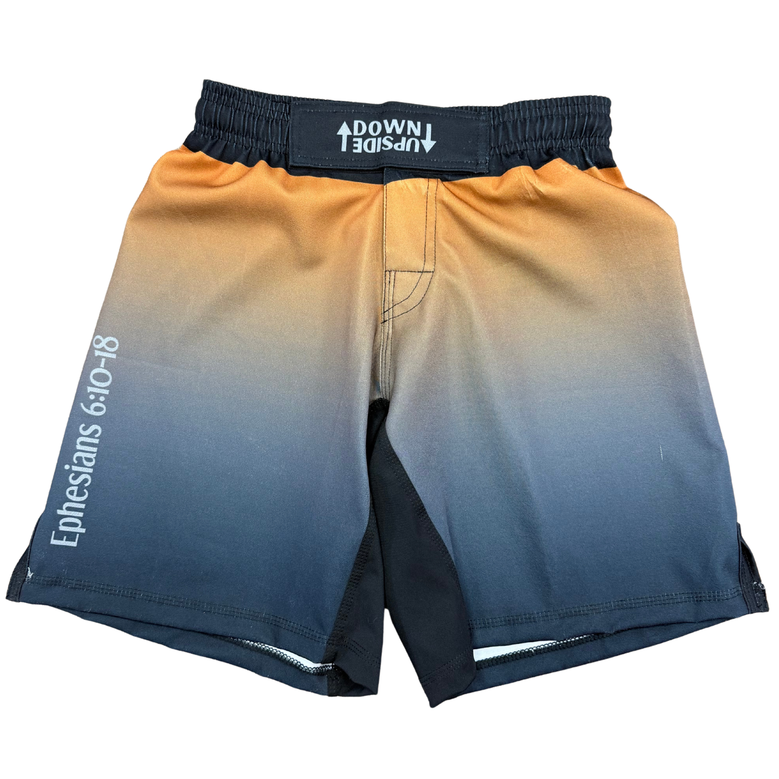Armor of God Shorts
